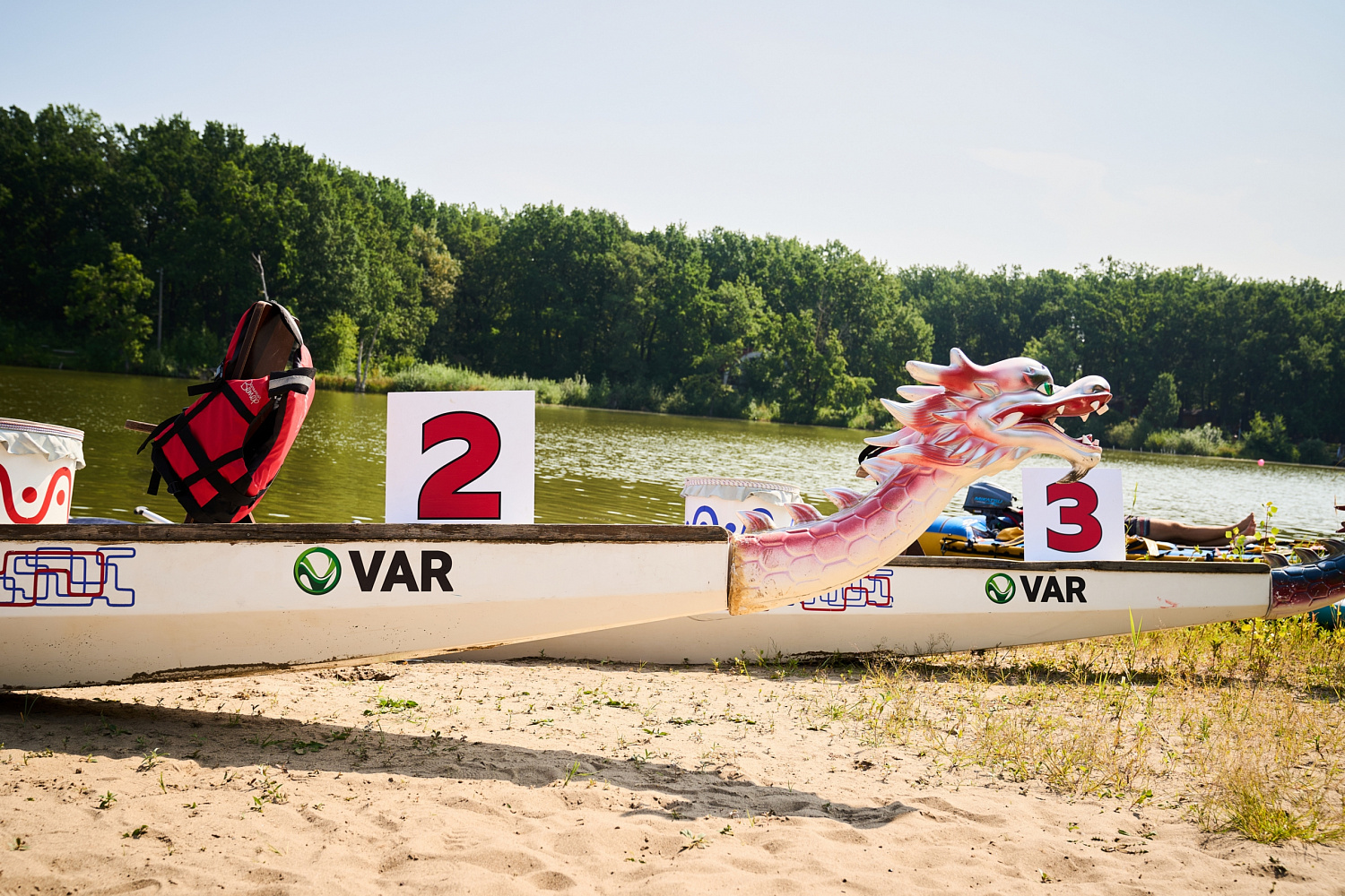 VAR ACTIVITY DAY 2026